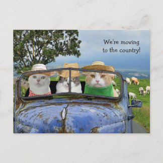 Cartes postales de chats drôles qui déménagent