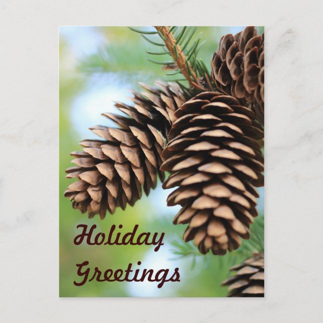 Cartes postales de cônes de pin rustiques (Devant)