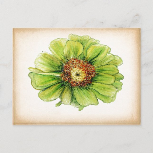 Cartes postales de dessins botaniques (Devant)