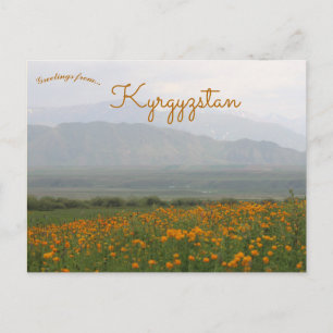 Cartes postales de fleurs au Kirghizistan