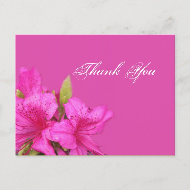 Cartes postales de fleurs d'azalée rose merci (Devant)
