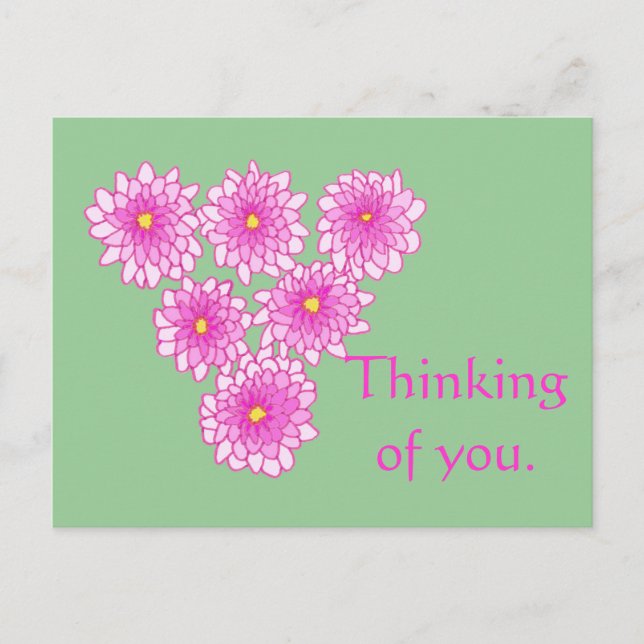 Cartes postales de fleurs de chrysanthèmes roses P (Devant)