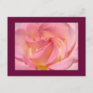 Cartes postales de fleurs de rose personnalisées R
