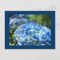 Cartes postales de fleurs d'hortensia bleus Ajoute