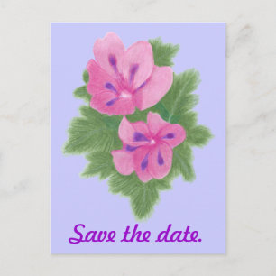Cartes postales de géraniums rose violet pour anno