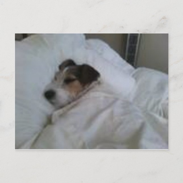 Cartes postales de haute qualité (Devant)