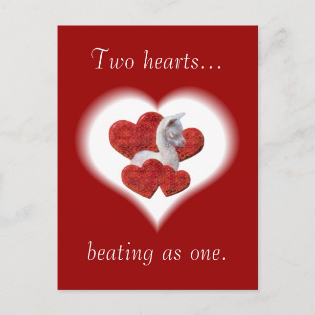 Cartes postales de la journée Cute Alpaca Baby Val (Devant)