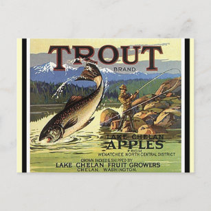 Cartes postales de la marque vintage Trout Fly Fis