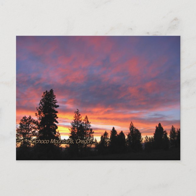 Cartes postales de l'Oregon Sunset (Devant)