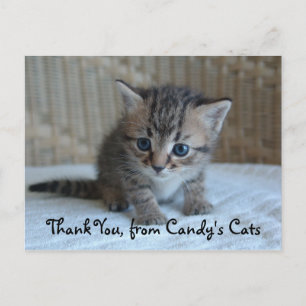 Cartes postales de Merci de Habu