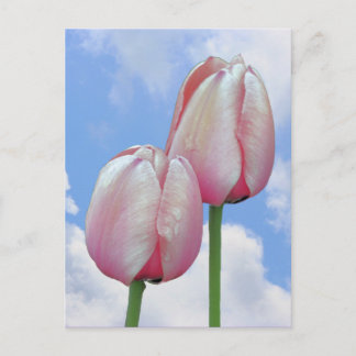 Cartes postales de nature avec des tulipes roses e