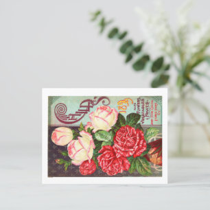 Cartes postales de paquets de semences