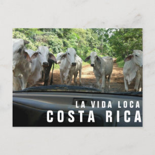 Cartes postales de Paradise Vacances Photo Carte p