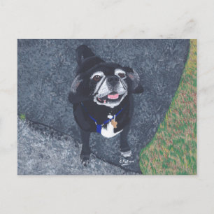 Cartes postales de peinture de chien de visage Car