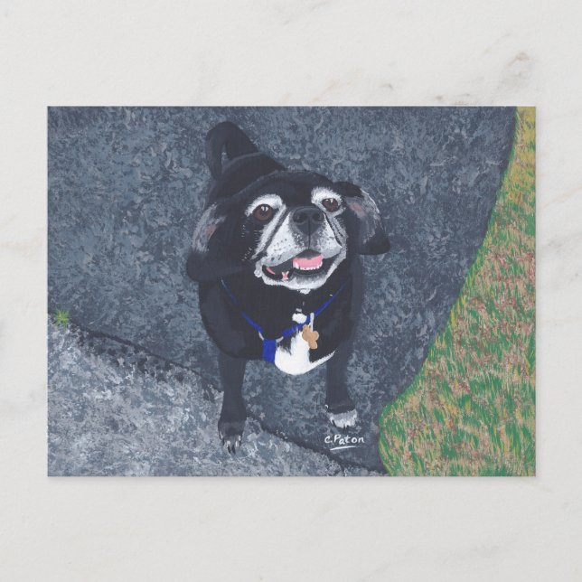 Cartes postales de peinture de chien de visage Car (Devant)