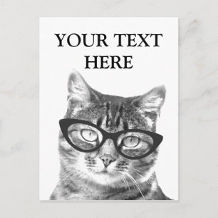 Cartes postales de photo de chat amusantes