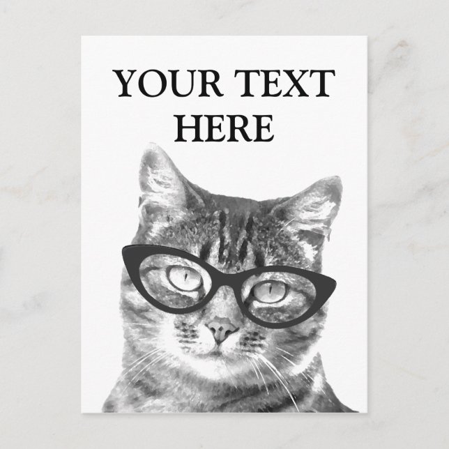 Cartes postales de photos de chat drôles (Devant)