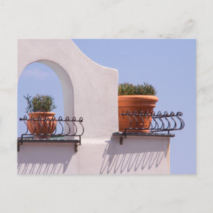 Cartes postales de plantes suspendues à Positano e