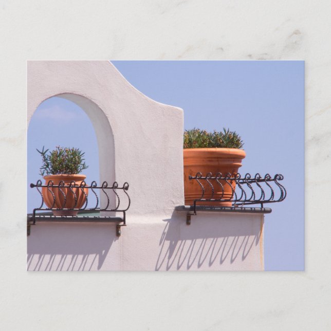 Cartes postales de plantes suspendues à Positano e (Devant)