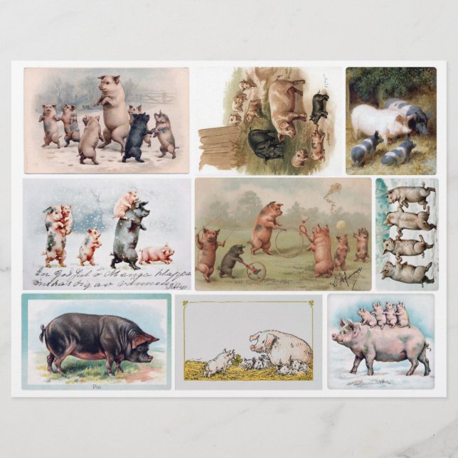 Cartes postales de porc Vintages (pas AI) (Devant)