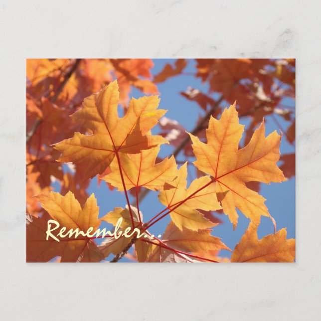 Cartes postales de rappel de service annuel (Devant)