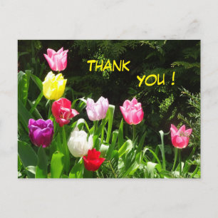 Cartes postales de remerciement aux tulipes coloré