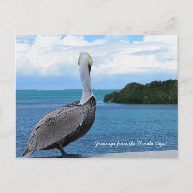 Cartes postales de salutations des Florida Keys (Devant)