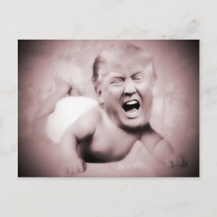 Cartes postales de Trump pour le président