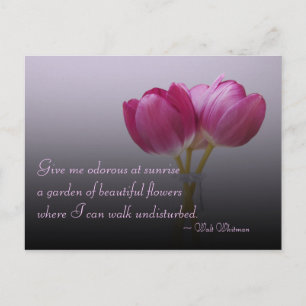 Cartes postales de tulipes de Walt Whitman