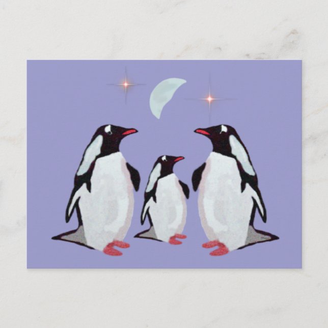 Cartes postales de voeux Gentoo Penguin (Devant)