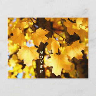 Cartes postales déménagement personnalisé Nouvelle