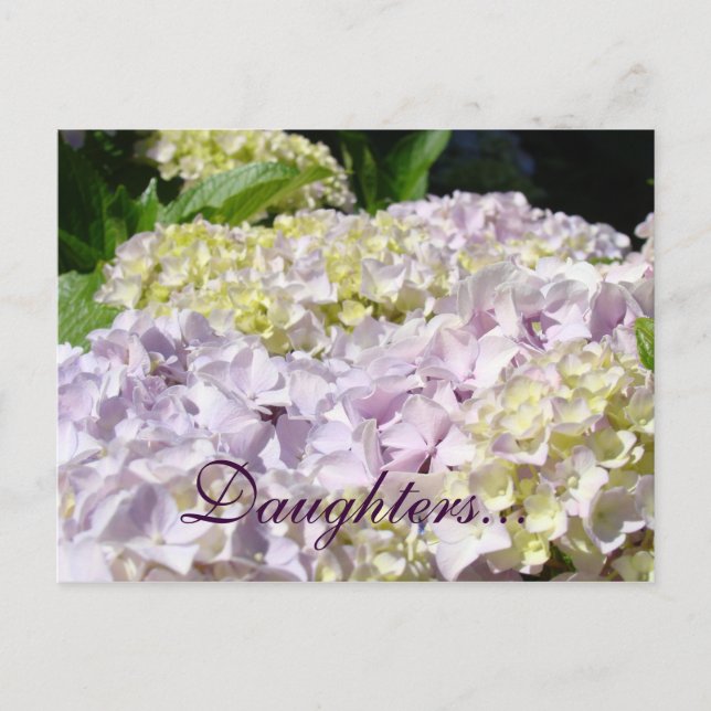 Cartes postales des filles Hydrangea Fleurs Lavand (Devant)