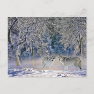 Cartes postales des loups de Yellowstone