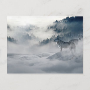 Cartes Postales Des Loups En Hiver