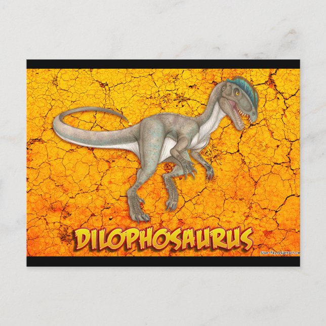 Cartes postales Dilophosaurus (Devant)