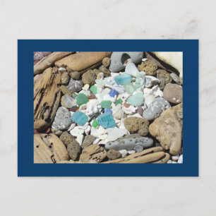 Cartes postales d'Ocean Beach Bois flotté Fossiles