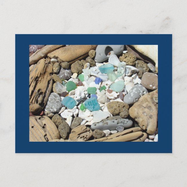 Cartes postales d'Ocean Beach Bois flotté Fossiles (Devant)