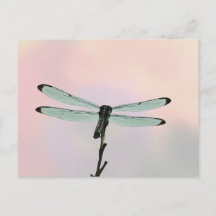 Cartes postales Dragonfly ion Pastels