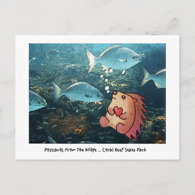 CARTES POSTALES DU BORD ! (Devant)