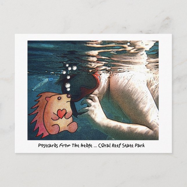 CARTES POSTALES DU BORD ! (Devant)