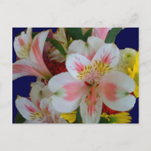 Cartes postales du bouquet de printemps