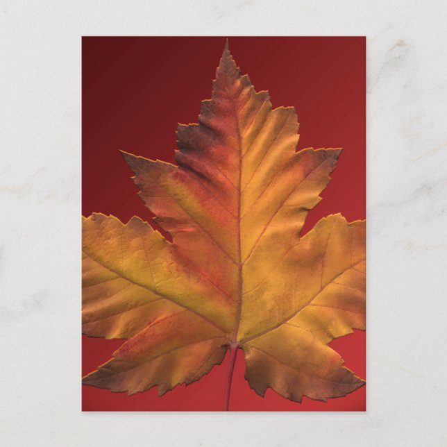 Cartes postales du Canada Carte postale Souvenir d (Devant)