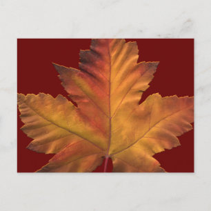 Cartes postales du Canada Carte postale Souvenir d