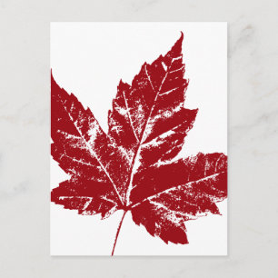 Cartes postales du Canada Cartes postales Cool sou