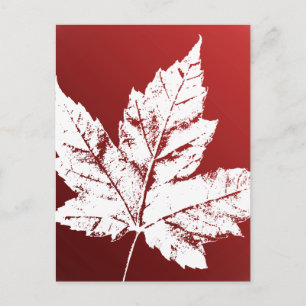 Cartes postales du Canada Cartes postales Cool sou