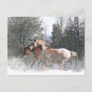 Cartes postales du Cheval de Noël