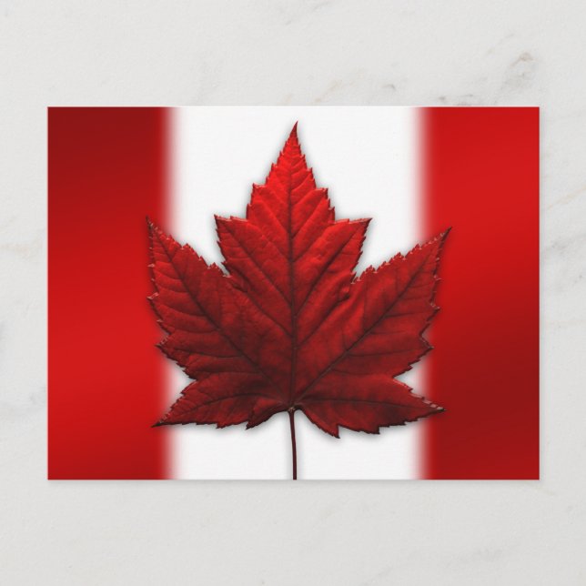 Cartes postales du drapeau du Canada Cartes postal (Devant)