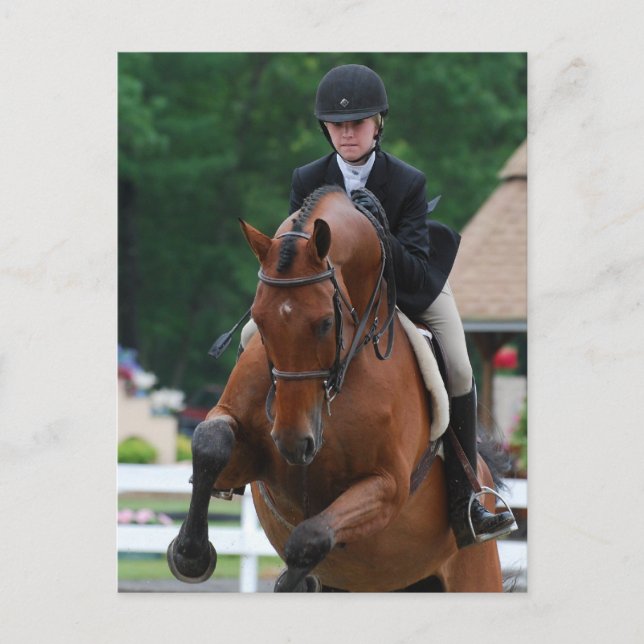 Cartes postales du Hunter Horse Show (Devant)