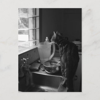 Cartes postales du lavabo de cuisine
