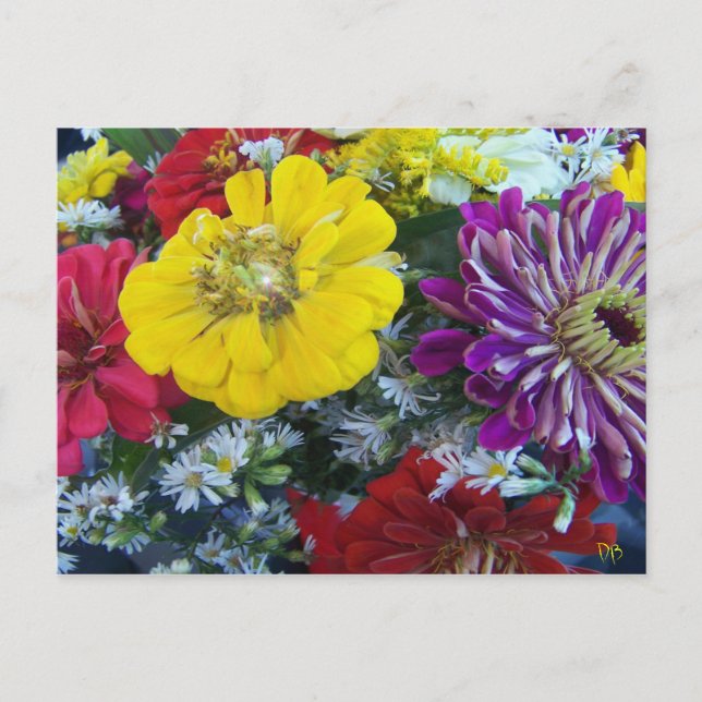 Cartes postales du marché agricole (Devant)